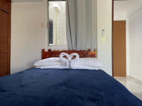 Alce33, Cancún